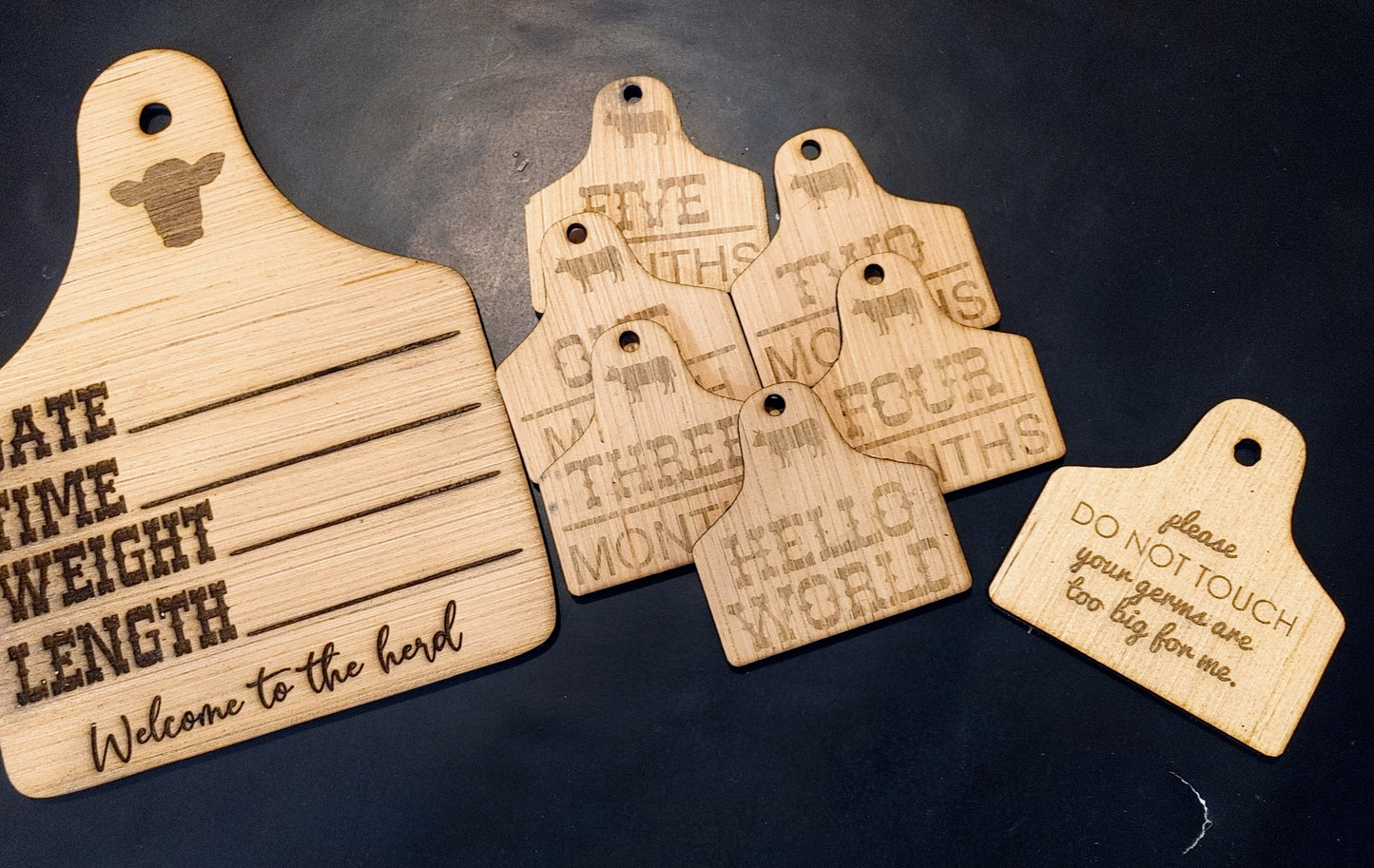 * DEAL OF THE DAY * 15PC Cow Milestone Set