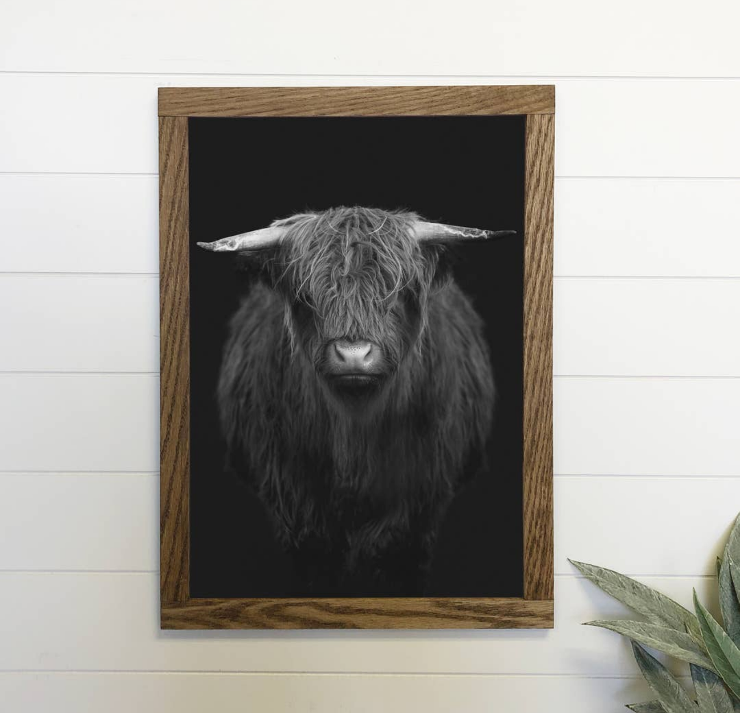12x16" Highland Cow - Framed Canvas