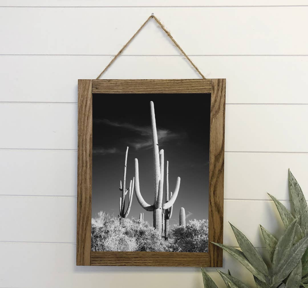 Saguaro Cactus Framed Canvas