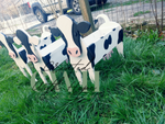 Standing Wooden Cow Planter - Large